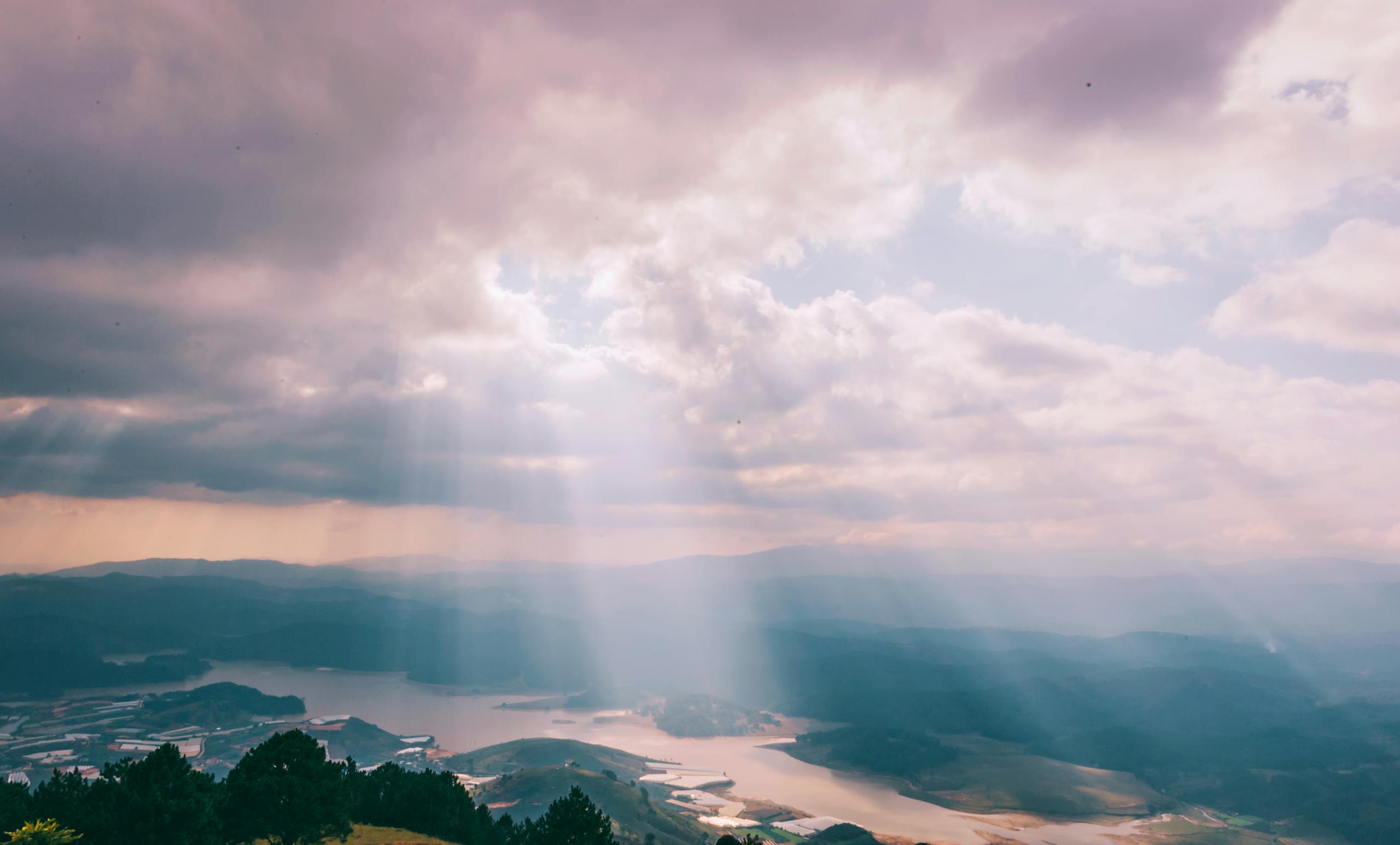 When the Wild Things Stay: Disability, Dependence, and the Imago Dei