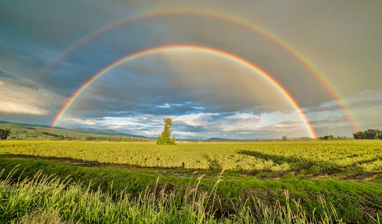 Rainbows can remind us of Who can handle grief